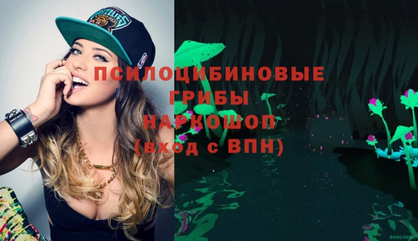 соль ск Новодвинск
