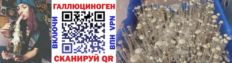 Псилоцибиновые грибы прущие грибы  Кимры 