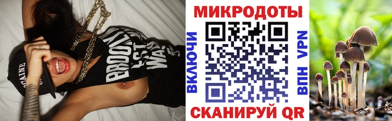Псилоцибиновые грибы Cubensis Кимры